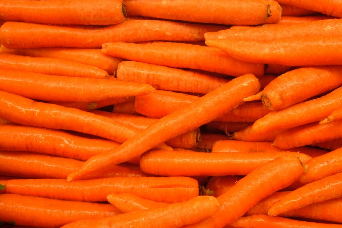 So why focus on ESG? First the Carrot, and then the Stick. How to get